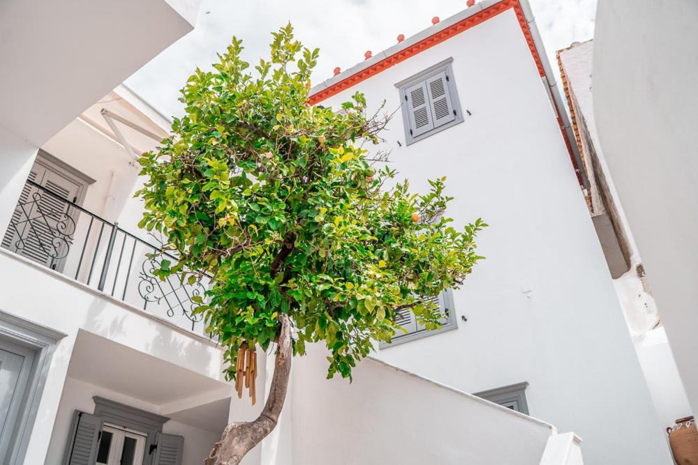 Lemon Tree - Hydra Dream Houses Eksteriør billede